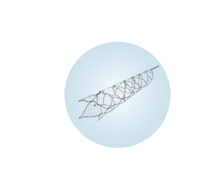 Stent Cerebral